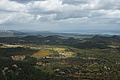 Bernhard Saalfeld - DSC03917.JPG