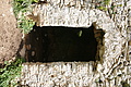 Bernhard Saalfeld - DSC03938.JPG