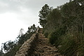 Bernhard Saalfeld - DSC03997.JPG