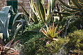 Bernhard Saalfeld - DSC04123.JPG