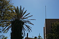 Bernhard Saalfeld - DSC04220.JPG