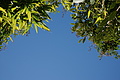 Bernhard Saalfeld - DSC04221.JPG