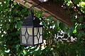 Bernhard Saalfeld - DSC04225.JPG