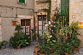 Bernhard Saalfeld - DSC04233.JPG