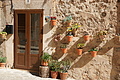 Bernhard Saalfeld - DSC04253.JPG
