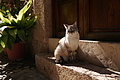 Bernhard Saalfeld - DSC04279.JPG