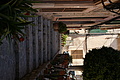 Bernhard Saalfeld - DSC04292.JPG