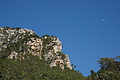 Bernhard Saalfeld - DSC04304.JPG