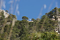Bernhard Saalfeld - DSC04305.JPG
