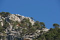 Bernhard Saalfeld - DSC04306.JPG