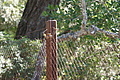 Bernhard Saalfeld - DSC04307.JPG
