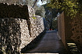 Bernhard Saalfeld - DSC04309.JPG