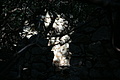 Bernhard Saalfeld - DSC04343.JPG