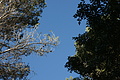 Bernhard Saalfeld - DSC04349.JPG