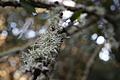 Bernhard Saalfeld - DSC04351.JPG