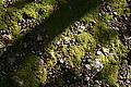 Bernhard Saalfeld - DSC04358.JPG