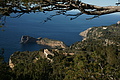 Bernhard Saalfeld - DSC04364.JPG