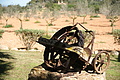 Bernhard Saalfeld - DSC04423.JPG