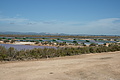 Bernhard Saalfeld - DSC04428.JPG
