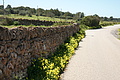 Bernhard Saalfeld - DSC04435.JPG