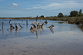 Bernhard Saalfeld - DSC04436.JPG