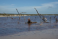 Bernhard Saalfeld - DSC04447.JPG