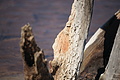 Bernhard Saalfeld - DSC04459.JPG