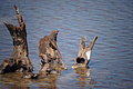 Bernhard Saalfeld - DSC04460.JPG