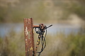 Bernhard Saalfeld - DSC04466.JPG