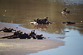 Bernhard Saalfeld - DSC04470.JPG