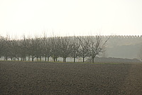 Bernhard Saalfeld - B3.jpg