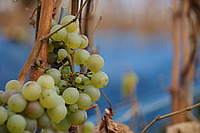 Bernhard Saalfeld - DSC03278.JPG