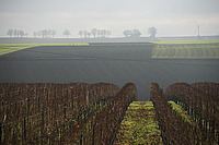 Bernhard Saalfeld - DSC03286.JPG