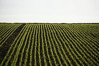 Bernhard Saalfeld - DSC03288.JPG