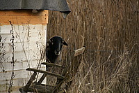 Bernhard Saalfeld - DSC03295.JPG